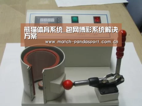 熊猫体育案例展示六