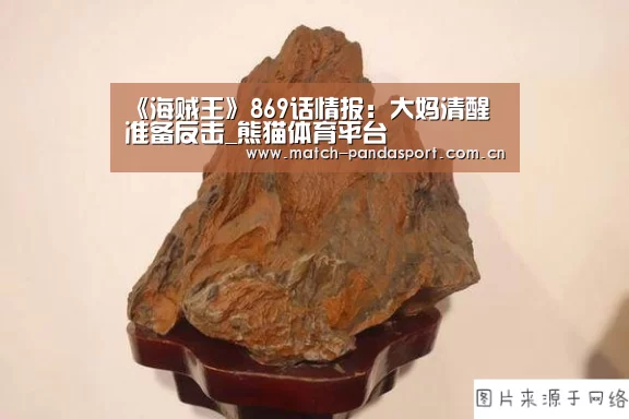 《海贼王》869话情报:大妈清醒 准备反击_熊猫体育平台(图1) 熊猫体育