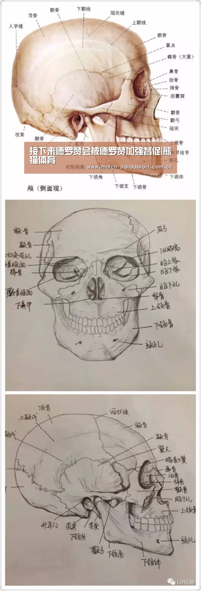 接下来德罗赞会被德罗赞加强督促|熊猫体育(图2) 熊猫体育