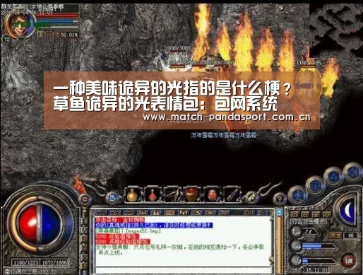 一种美味诡异的光指的是什么梗?草鱼诡异的光表情包:包网系统(图1) 包网系统