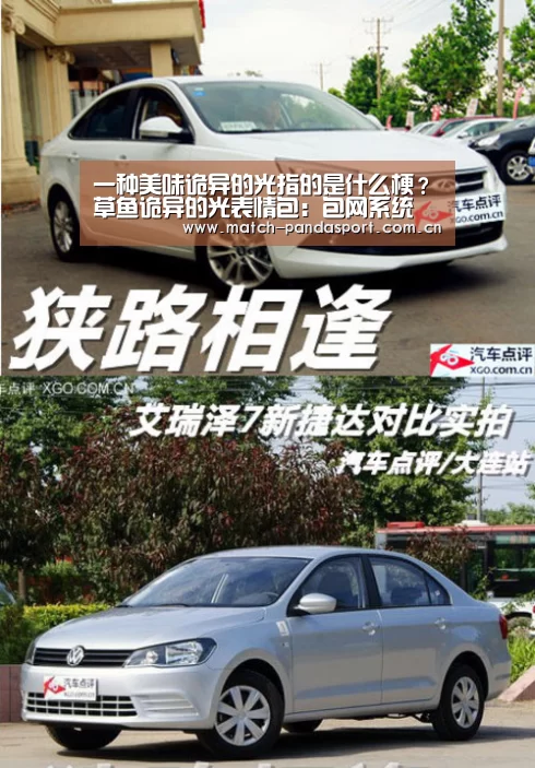 一种美味诡异的光指的是什么梗?草鱼诡异的光表情包:包网系统(图2) 体育API