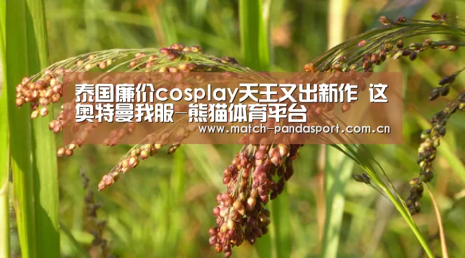泰国廉价cosplay天王又出新作 这奥特曼我服-熊猫体育平台(图4) 包网系统