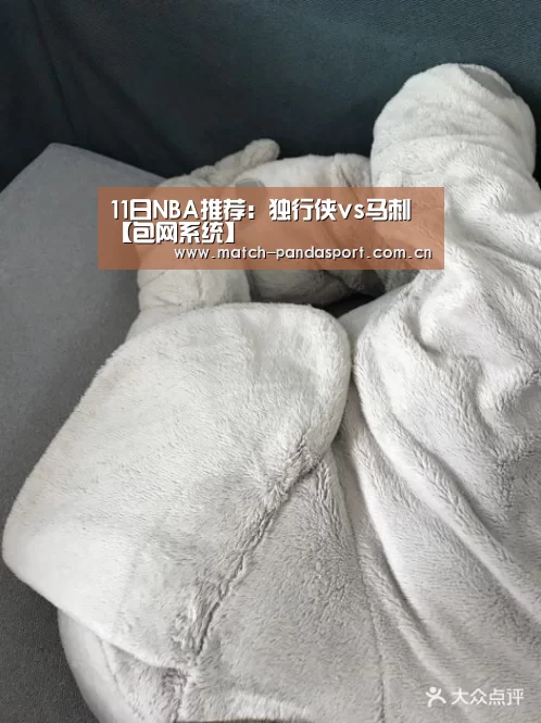 熊猫体育平台