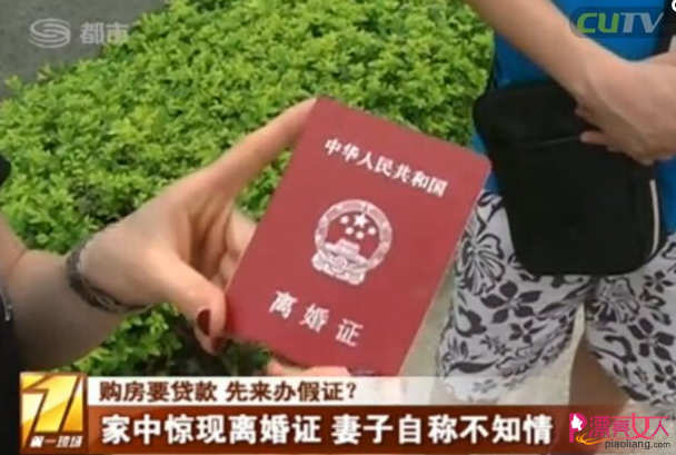 包网系统