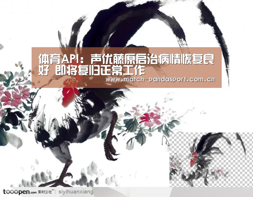 体育API
