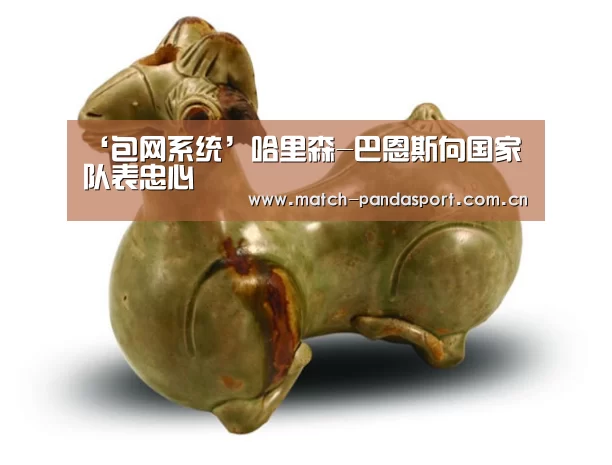 ‘包网系统’哈里森-巴恩斯向国家队表忠心(图3) 体育API